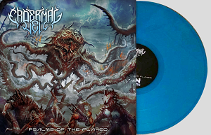 EPIDERMAL VEIL - Psalms Of The Flayed - 12